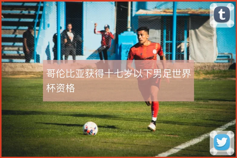 哥伦比亚获得十七岁以下男足世界杯资格